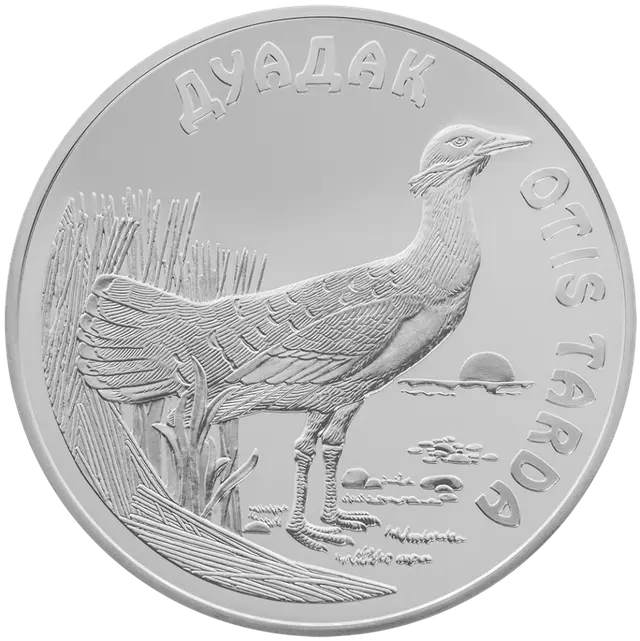 Дрофа (Дуадак)