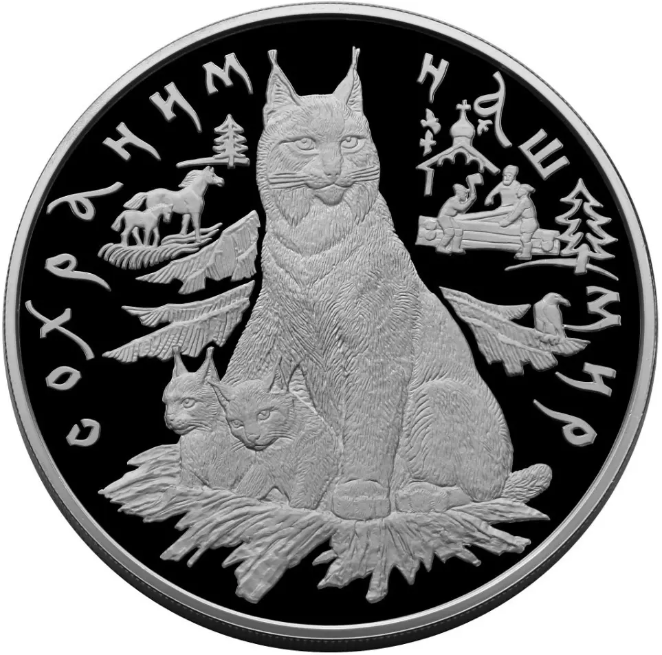 Рысь