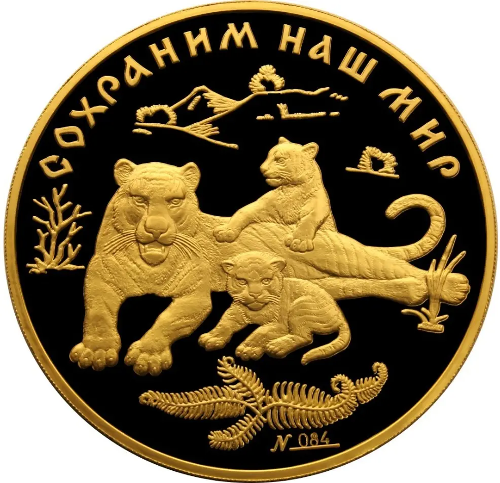 Амурский тигр