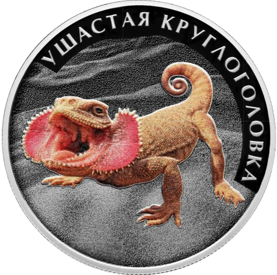 Ушастая круглоголовка