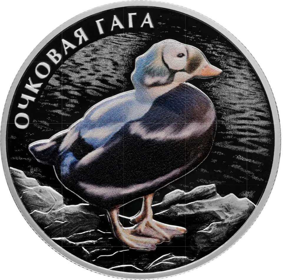 Очковая гага