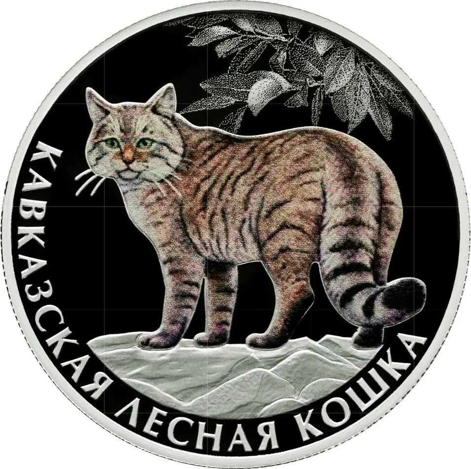 Кавказская лесная кошка