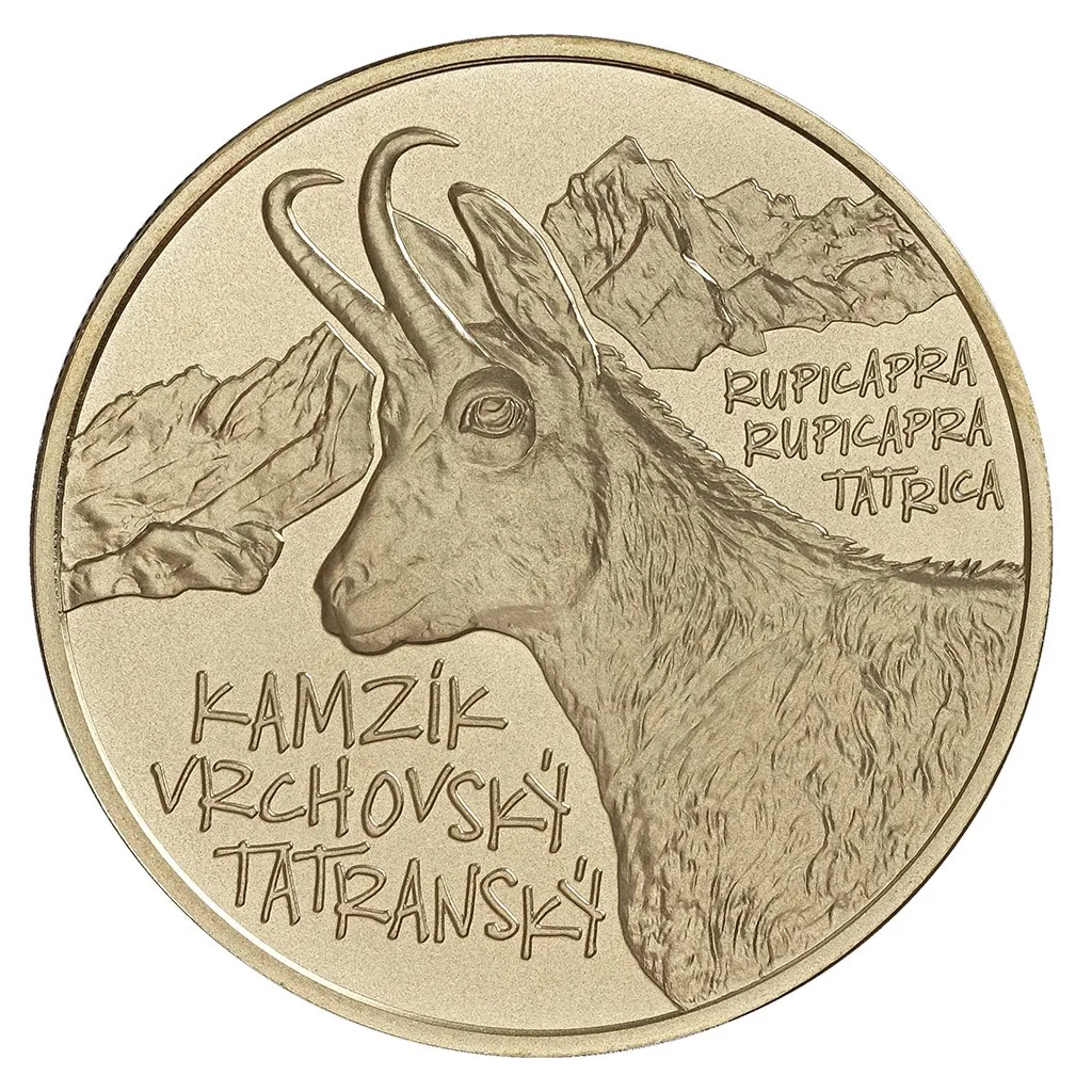 Татрская горная серна