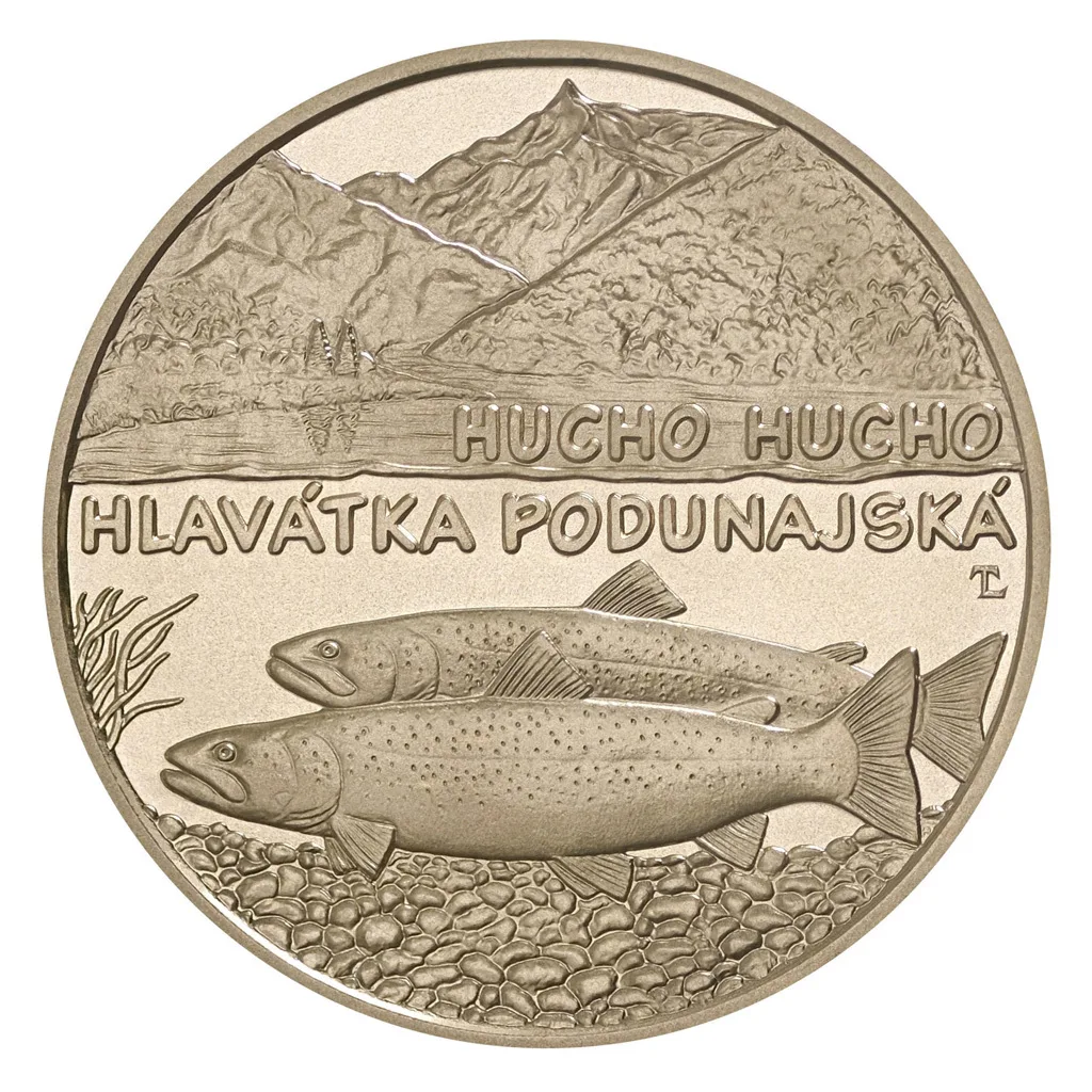 Дунайский лосось