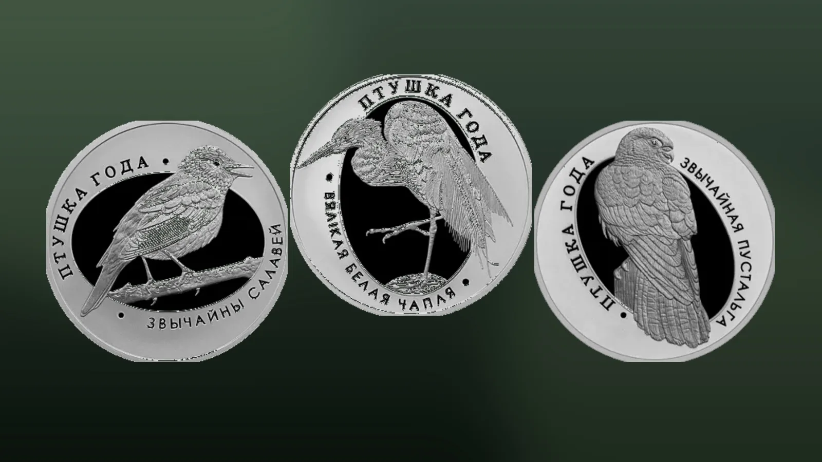 Птица года (Птушка года)