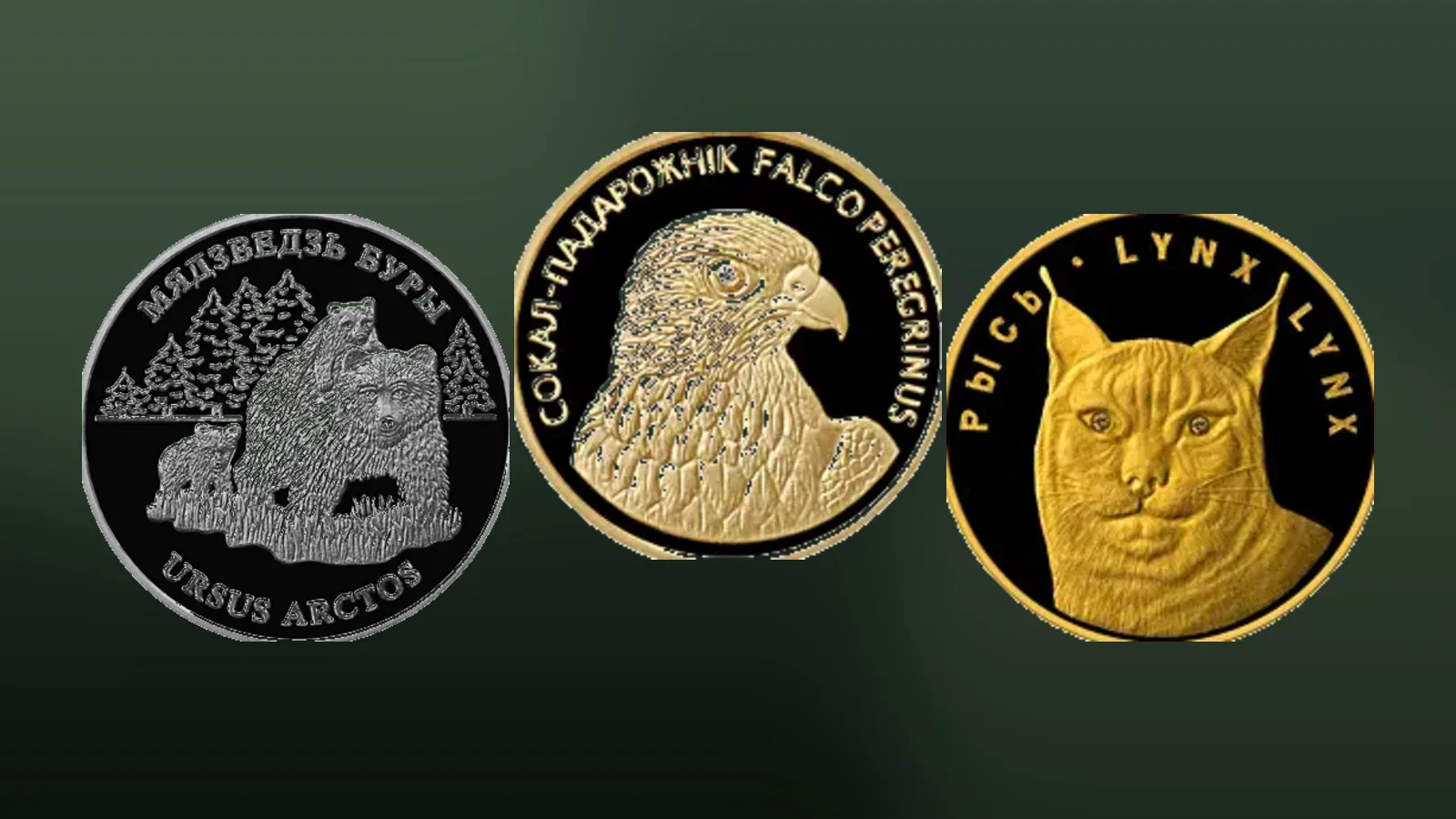 Защита окружающей среды Беларусь