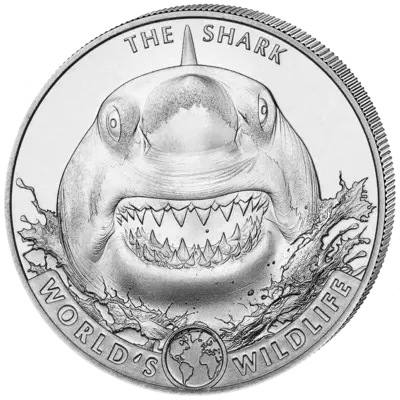 Акула Конго 20 CFA franc